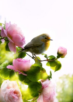 Photographie d'un oiseau sur une branche
