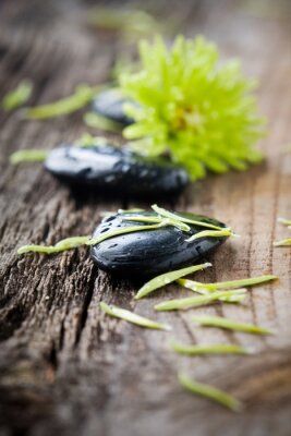 Sticker  Pierres avec des gouttes d'eau