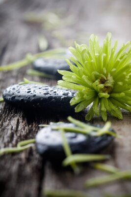 Sticker  Pierres avec des gouttes d'eau