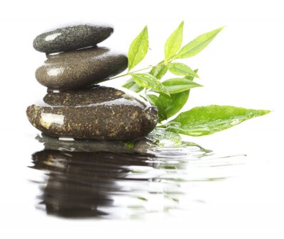 Sticker  Pierres dans l'eau