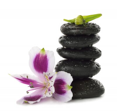 Sticker  Pierres et de lys