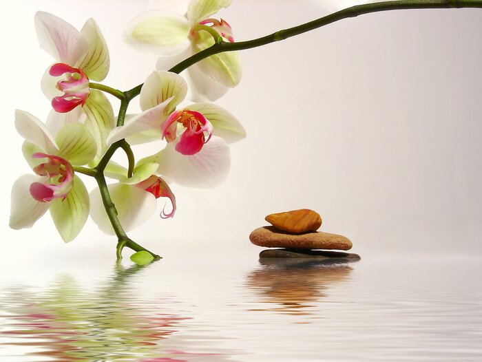 Sticker  Pierres et fleurs