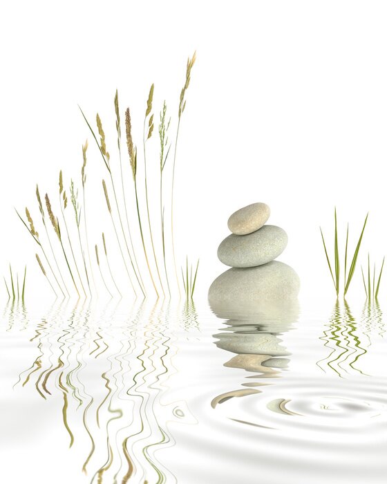 Sticker  Pierres et herbes aquatiques sur le lac