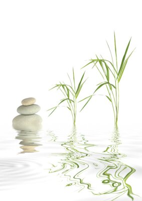 Pierres zen et herbe de bambou à la surface de l'eau