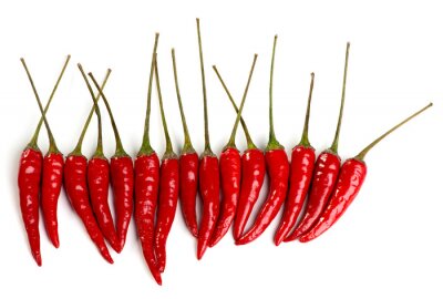 Sticker  Piments rouges disposés en rang