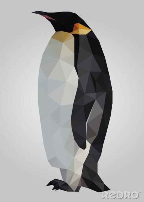 Sticker  Pingouin, oiseau, debout, regarder, vecteur
