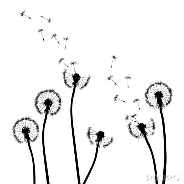 Sticker  Pissenlits représentation graphique