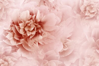 Pivoine abstraite rose