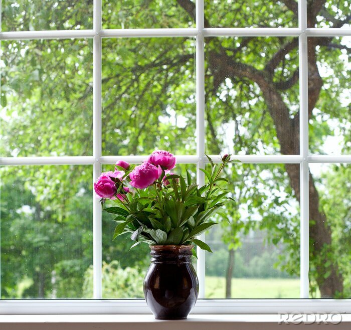 Sticker  Pivoines devant une fenêtre