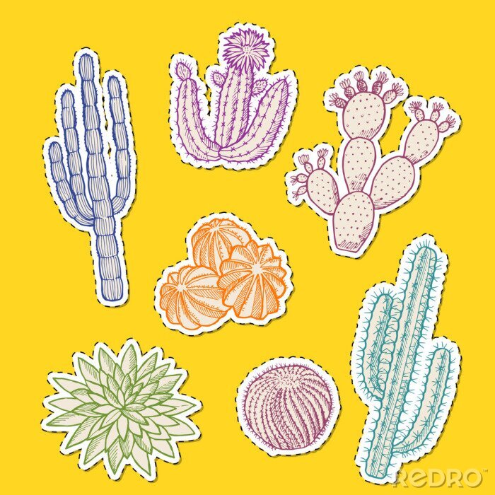 Sticker  Plantes de cactus du désert dessinés à la main de vecteur autocollants colorés de l'illustration