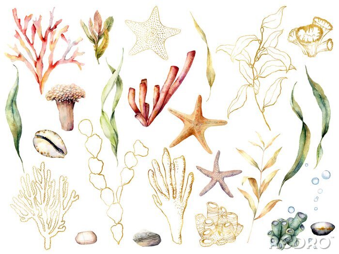 Sticker  Plantes de récif corallien dans un style bohème