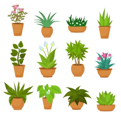 Sticker  Plantes en terre cuite intérieures et extérieures isolées sur blanc. Ensemble vectoriel