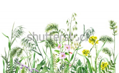 Sticker  Plantes et herbes des champs