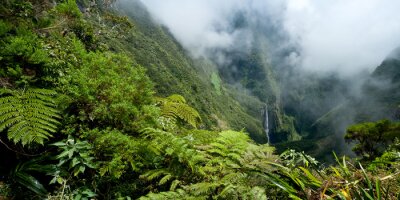 Plantes exotiques en montagne