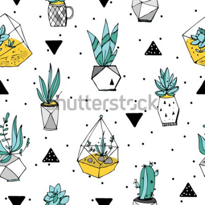 Sticker  Plantes succulentes parmi les points et les triangles
