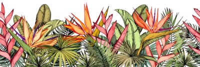 Sticker  Plantes tropicales sur fond blanc