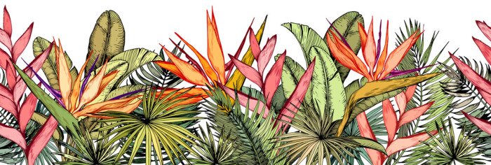 Sticker  Plantes tropicales sur fond blanc