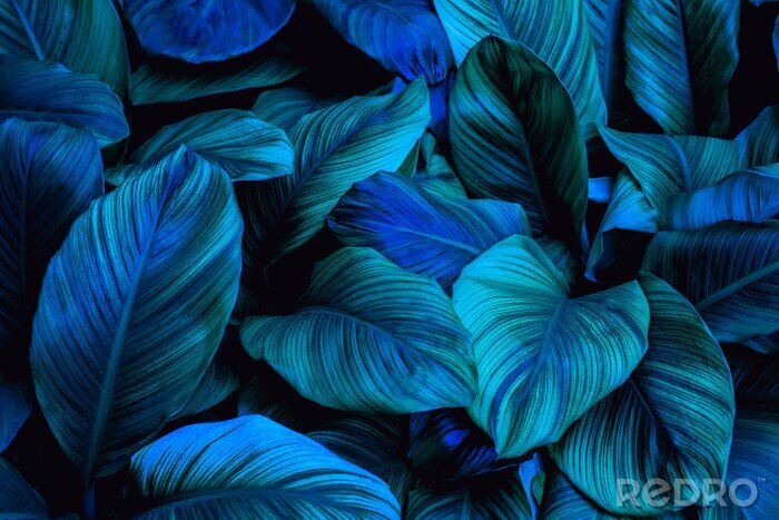 Sticker  Plantes vertes et bleues