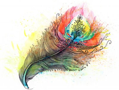 Sticker  Plume dans les tons de l'arc-en-ciel