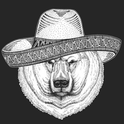 Sticker  Polar bear portrait. Sombrero is traditional mexican hat. Mexico. Head of wild animal