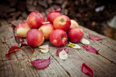 Sticker  Pommes et feuilles d'automne