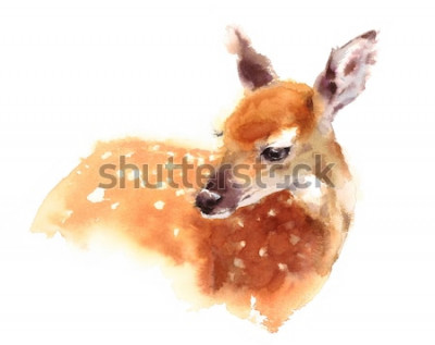Sticker  Portrait à l'aquarelle d'un faon sur fond blanc