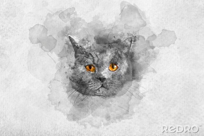 Sticker  Portrait aquarelle de chat British shorthair mignon.