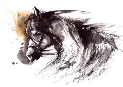 Poster  Portrait d'un cheval dans le style d'un dessin esquissé