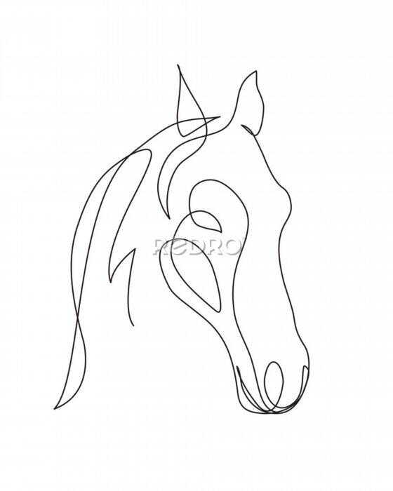 Sticker  Portrait d'un cheval peint avec des lignes