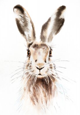 Sticker  Portrait d'un lapin à l'aquarelle
