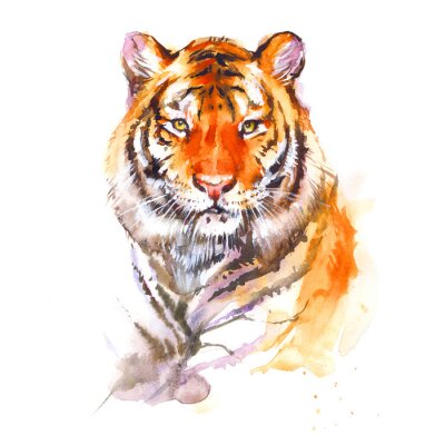 Sticker  Portrait d'un tigre digne