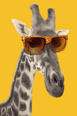 Portrait d'une girafe avec des lunettes de soleil hippie