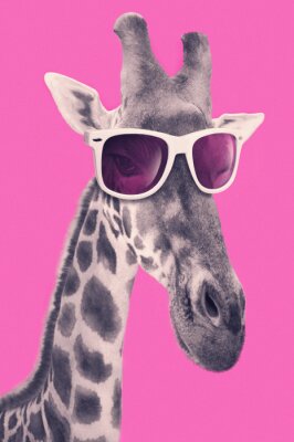 Portrait d'une girafe avec des lunettes de soleil hippie