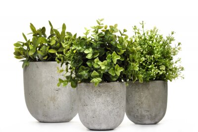 Sticker  Pot green plants in and pots