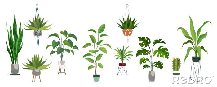 Sticker  Pot plant set. Plants plastic decorative container and hanging styling indoor basket for potting tree vector collection