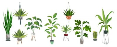 Sticker  Pot plant set. Plants plastic decorative container and hanging styling indoor basket for potting tree vector collection