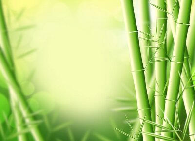 Pousses de bambou graphiques