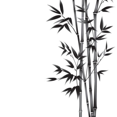 Sticker  Pousses de bambou illustration minimaliste en noir et blanc