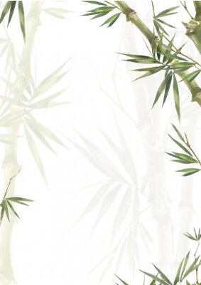 Sticker  Pousses de bambou sur fond clair