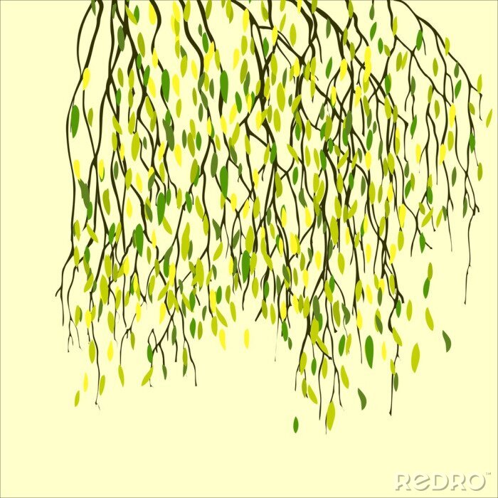 Sticker  Printemps de fond avec des feuilles vertes, des branches de bouleau.