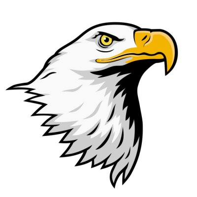 Sticker  Pygargue à tête blanche, aigle américain, version couleur.