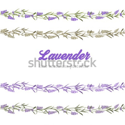 Sticker  Quatre guirlandes de lavande