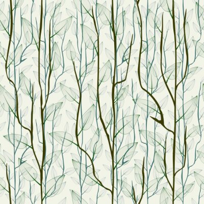 Rameaux de bouleau délicats