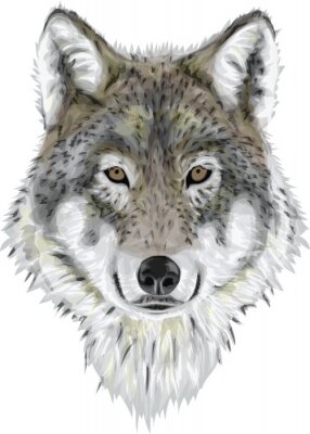 Realistic Vector Wolf