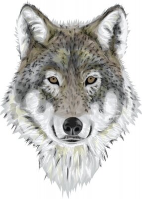 Sticker  Realistic Vector Wolf