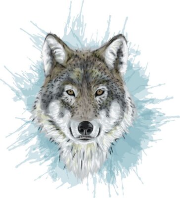 Sticker  Realistic Vector Wolf - Stylized art