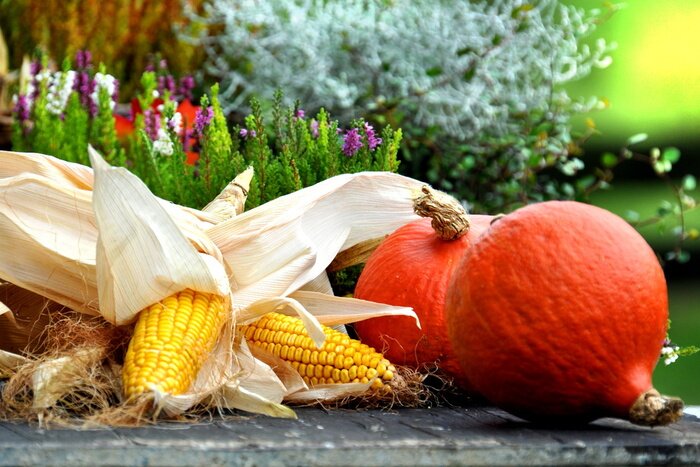 Sticker  Récolte d'automne