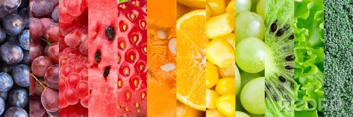 Sticker  Rectangles de légumes