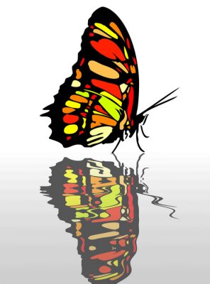 Sticker  Reflet d'un papillon coloré