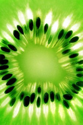 Sticker  Résumé photo d'un kiwi